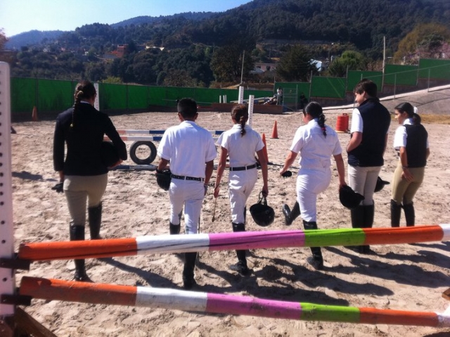  Kurs für professionelle Reiter 